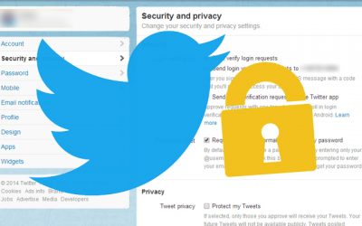 Twitter Privacy Settings