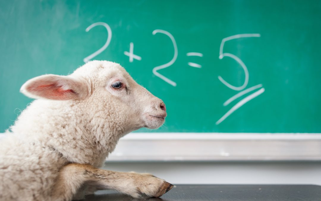 Truth or Tall Tale? Spotting Misinformation